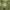 Casual Hoody Pria green photo 3