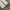 ZARA Casual Jeans Pria tan photo 7