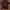 Adidas Streetwear Casual T-shirt Pria brown photo 1
