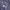 Puma Sportswear Pria navy photo 2