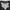COMME des GARÇONS Streetwear Sportswear Windbreaker Pria black photo 3