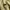WTAPS Streetwear Skater Sweatshirt Pria green photo 4