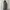 Minimalist Bodycon dress Wanita gray photo 1