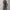 Minimalist Bodycon dress Wanita gray photo 3