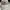 Polo Ralph Lauren Casual Hat Pria Cream
