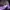 Casual Suit Pria purple photo 4