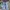 Japanese brand Y2K Skater Jeans Pria multicolor photo 2