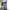 Japanese brand Y2K Skater Jeans Pria multicolor photo 1