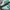 Adidas Casual Sneakers Pria white green photo 2