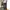 Japanese brand Y2K Skater Jeans Pria black photo 1