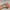 Oakley Vintage Streetwear Pria gray photo 2