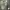 Roxy Y2K Casual Hoody Wanita green brown photo 5
