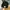Carhartt Streetwear Y2K Hat Pria black photo 2