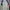 Polham Minimalist Casual Sweater Pria white blue photo 2