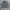 Uniqlo Minimalist Casual Harrington jacket Pria gray photo 2