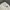 Top Ten Streetwear Casual Harrington jacket Pria cream photo 3