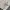Polo Ralph Lauren Y2K Casual Harrington jacket Pria cream photo 2