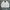 Polo Ralph Lauren Y2K Casual Harrington jacket Pria cream photo 1