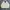 Polo Ralph Lauren Y2K Casual Harrington Jacket Pria Cream