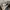Streetwear Hat Pria multicolor photo 8