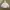 VANS Streetwear Y2K Sweatshirt Pria white photo 2