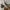 VANS Streetwear Y2K Sweatshirt Pria white photo 5