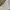 VANS Streetwear Y2K Sweatshirt Pria white photo 6