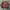 Japanese brand Y2K Casual Bomber jacket Pria multicolor photo 5