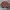 Japanese brand Y2K Casual Bomber jacket Pria multicolor photo 2