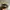 Streetwear Hat Pria multicolor photo 7