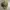 Streetwear Hat Pria multicolor photo 5