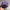 Made in USA Streetwear Y2K Hat Pria multicolor purple photo 6
