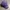 Made in USA Streetwear Y2K Hat Pria multicolor purple photo 2