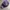 Made in USA Streetwear Y2K Hat Pria multicolor purple photo 5
