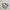Adidas Sportswear Sneakers Pria multicolor white photo 1