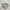 Adidas Sportswear Sneakers Pria Multicolor White