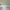 Vintage Avant Garde Sunglass Pria gold photo 2