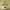 Vintage Avant Garde Sunglass Pria gold photo 1