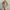 Uniqlo Casual Fur coat Wanita tan photo 4