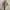 Uniqlo Casual Fur coat Wanita tan photo 1