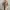 Uniqlo Casual Fur Coat Wanita Tan