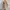 Uniqlo Casual Fur coat Wanita tan photo 2