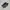 On Running Sportswear Sneakers Wanita white blue photo 3