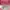 JanSport Casual Backpack Wanita pink photo 3