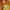 Streetwear Sportswear Bomber jacket Pria yellow photo 8