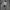 Visvim Y2K Gorpcore Windbreaker Pria black photo 7
