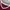 Polo Ralph Lauren Y2K Casual T-shirt Pria burgundy red photo 4