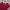 Polo Ralph Lauren Y2K Casual T-shirt Pria burgundy red photo 2