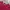 Polo Ralph Lauren Y2K Casual T-shirt Pria burgundy red photo 3