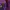 Indie Trench coat Wanita purple burgundy photo 2